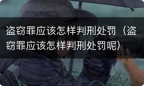 盗窃罪应该怎样判刑处罚（盗窃罪应该怎样判刑处罚呢）