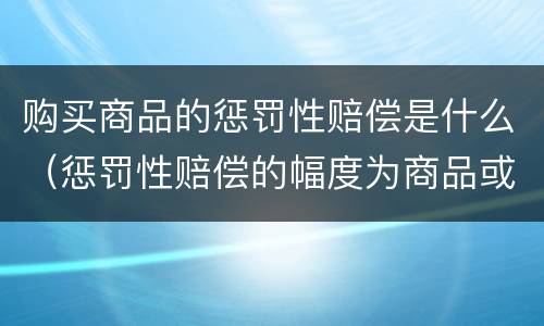 购买商品的惩罚性赔偿是什么（惩罚性赔偿的幅度为商品或服务价款的）