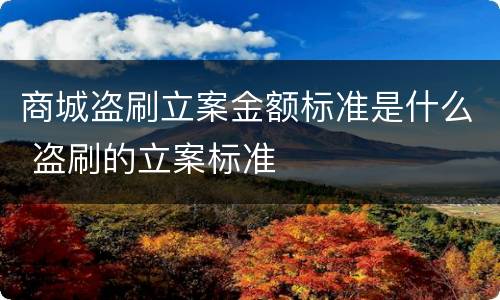 商城盗刷立案金额标准是什么 盗刷的立案标准