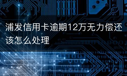 浦发信用卡逾期12万无力偿还该怎么处理