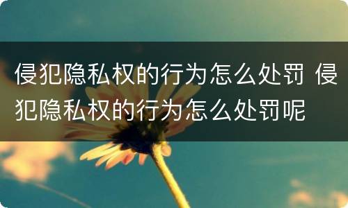 侵犯隐私权的行为怎么处罚 侵犯隐私权的行为怎么处罚呢