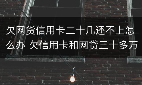 欠网货信用卡二十几还不上怎么办 欠信用卡和网贷三十多万还不上怎么办