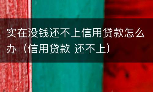 实在没钱还不上信用贷款怎么办（信用贷款 还不上）