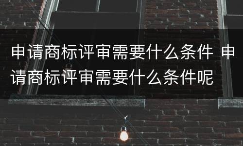 申请商标评审需要什么条件 申请商标评审需要什么条件呢