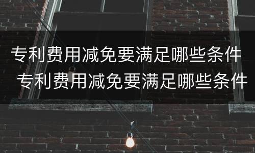 专利费用减免要满足哪些条件 专利费用减免要满足哪些条件才能申请