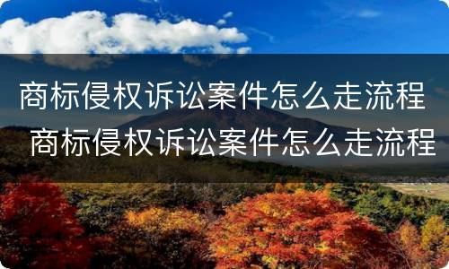 商标侵权诉讼案件怎么走流程 商标侵权诉讼案件怎么走流程呢