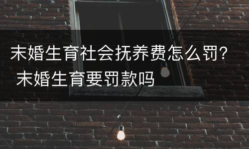 末婚生育社会抚养费怎么罚？ 末婚生育要罚款吗