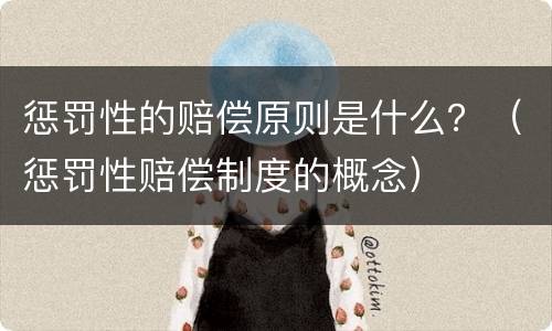 惩罚性的赔偿原则是什么？（惩罚性赔偿制度的概念）