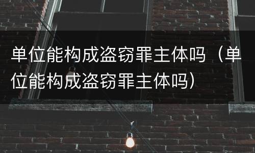 单位能构成盗窃罪主体吗（单位能构成盗窃罪主体吗）
