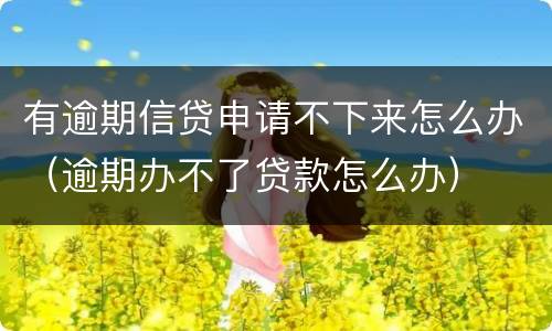 有逾期信贷申请不下来怎么办（逾期办不了贷款怎么办）