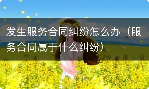 发生服务合同纠纷怎么办（服务合同属于什么纠纷）