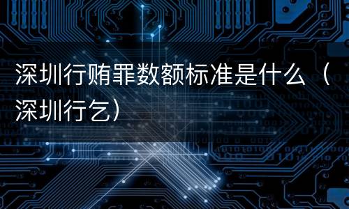 深圳行贿罪数额标准是什么（深圳行乞）