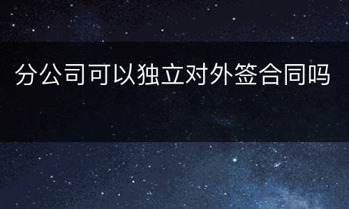 分公司可以独立对外签合同吗