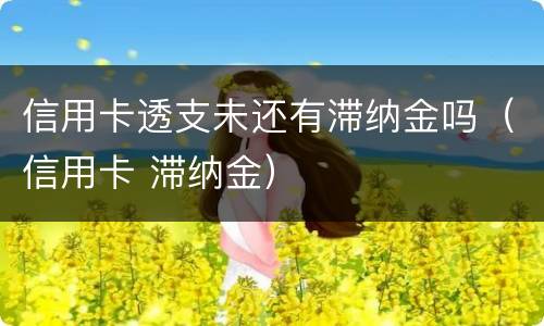 信用卡透支未还有滞纳金吗（信用卡 滞纳金）