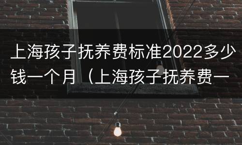 上海孩子抚养费标准2022多少钱一个月（上海孩子抚养费一般多少）