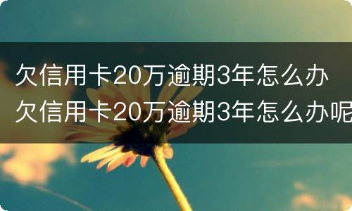 欠信用卡20万逾期3年怎么办 欠信用卡20万逾期3年怎么办呢