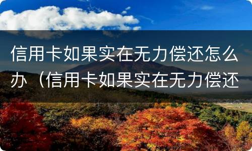 信用卡如果实在无力偿还怎么办（信用卡如果实在无力偿还怎么办啊）