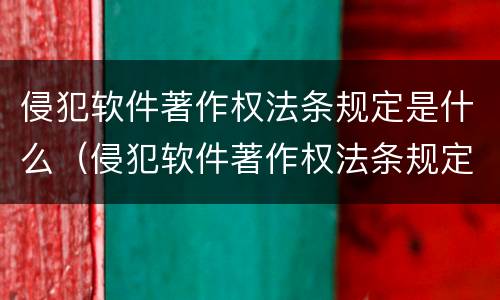 侵犯软件著作权法条规定是什么（侵犯软件著作权法条规定是什么意思）