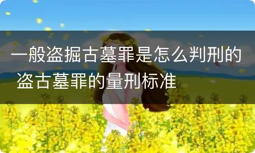 一般盗掘古墓罪是怎么判刑的 盗古墓罪的量刑标准
