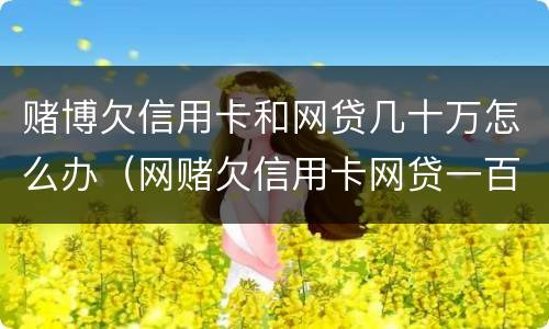 赌博欠信用卡和网贷几十万怎么办（网赌欠信用卡网贷一百万）