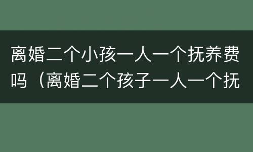 离婚二个小孩一人一个抚养费吗（离婚二个孩子一人一个抚养费怎么算）