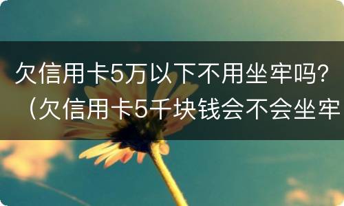 欠信用卡5万以下不用坐牢吗？（欠信用卡5千块钱会不会坐牢）