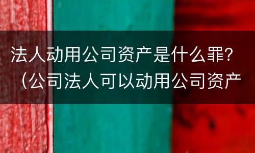 法人动用公司资产是什么罪？（公司法人可以动用公司资产吗）
