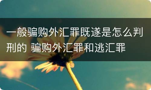 一般骗购外汇罪既遂是怎么判刑的 骗购外汇罪和逃汇罪