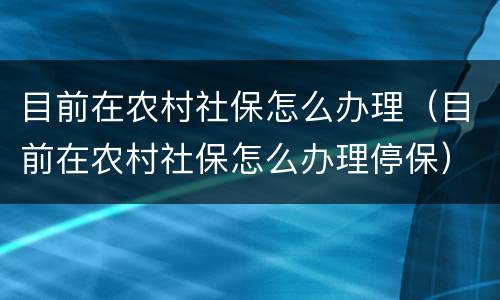 目前在农村社保怎么办理（目前在农村社保怎么办理停保）