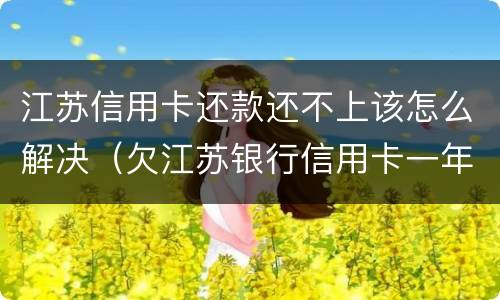 江苏信用卡还款还不上该怎么解决（欠江苏银行信用卡一年没还要还多少）