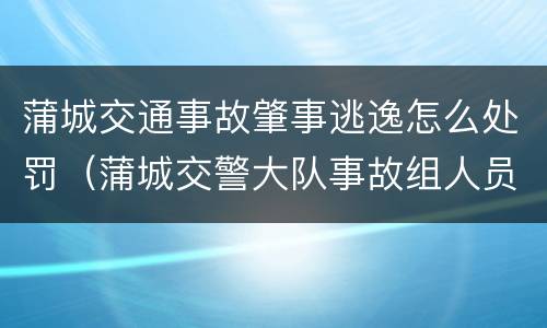 蒲城交通事故肇事逃逸怎么处罚（蒲城交警大队事故组人员名单）