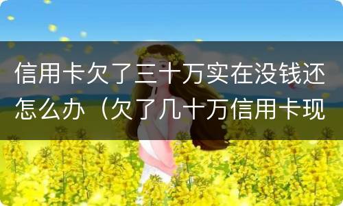 信用卡欠了三十万实在没钱还怎么办（欠了几十万信用卡现在没有钱还怎么办）