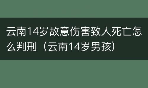 云南14岁故意伤害致人死亡怎么判刑（云南14岁男孩）