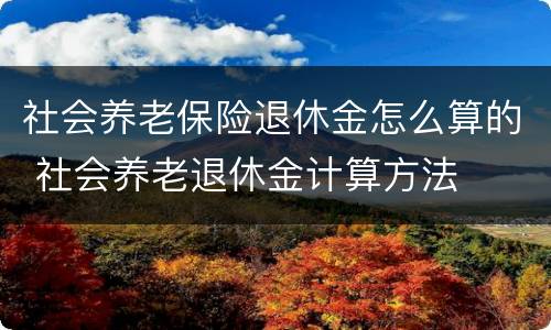 社会养老保险退休金怎么算的 社会养老退休金计算方法