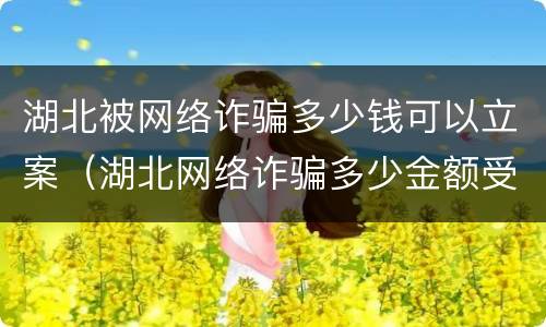 湖北被网络诈骗多少钱可以立案（湖北网络诈骗多少金额受理）