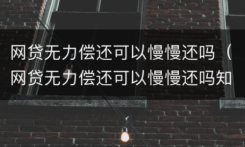 网贷无力偿还可以慢慢还吗（网贷无力偿还可以慢慢还吗知乎）