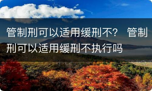 管制刑可以适用缓刑不？ 管制刑可以适用缓刑不执行吗