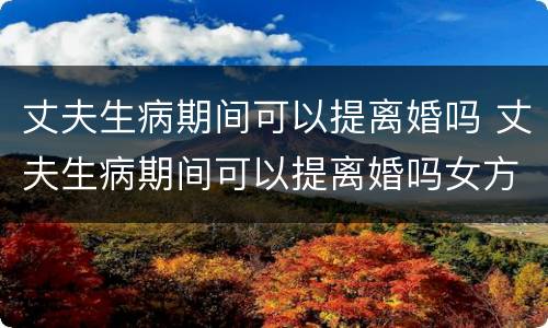 丈夫生病期间可以提离婚吗 丈夫生病期间可以提离婚吗女方