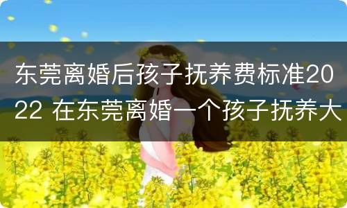 东莞离婚后孩子抚养费标准2022 在东莞离婚一个孩子抚养大概多少