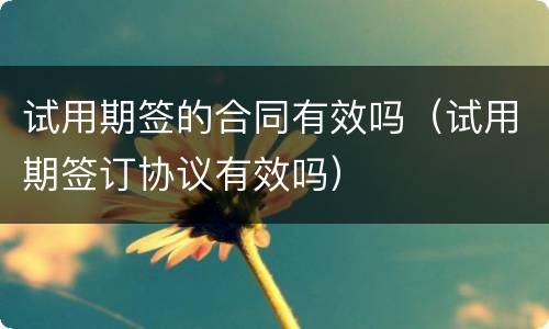 试用期签的合同有效吗（试用期签订协议有效吗）