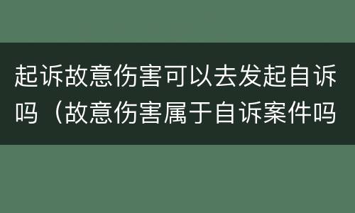 起诉故意伤害可以去发起自诉吗（故意伤害属于自诉案件吗）