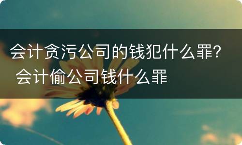 会计贪污公司的钱犯什么罪？ 会计偷公司钱什么罪