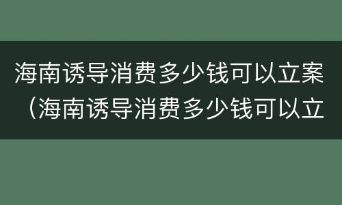 海南诱导消费多少钱可以立案（海南诱导消费多少钱可以立案追诉）