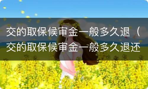 交的取保候审金一般多久退（交的取保候审金一般多久退还）
