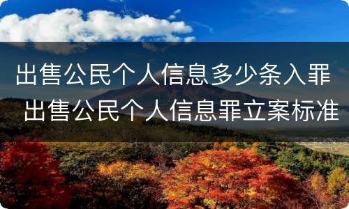 出售公民个人信息多少条入罪 出售公民个人信息罪立案标准