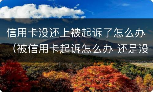 信用卡没还上被起诉了怎么办（被信用卡起诉怎么办 还是没有钱还）