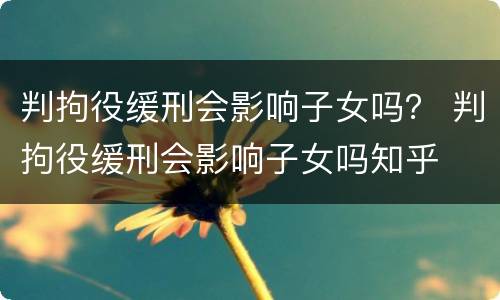 判拘役缓刑会影响子女吗？ 判拘役缓刑会影响子女吗知乎