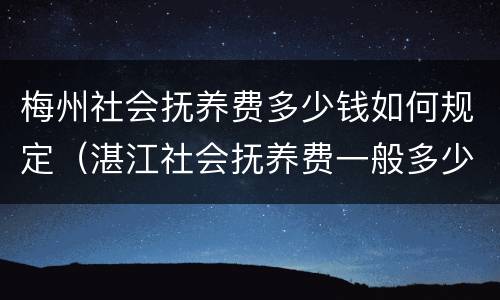 梅州社会抚养费多少钱如何规定（湛江社会抚养费一般多少钱）