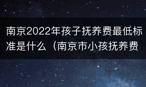 南京2022年孩子抚养费最低标准是什么（南京市小孩抚养费标准）