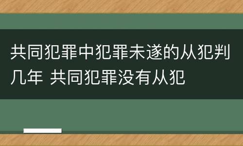 共同犯罪中犯罪未遂的从犯判几年 共同犯罪没有从犯